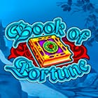 Book of Fortune game icon