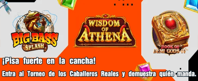 Gana en Grande con Stake Casino