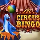 Circus Bingo game thumbnail